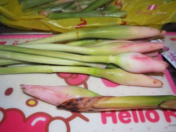 Ginger Flower Buds Remedy for Arthritis ( 姜花治关节炎 ) - Preparation step 1